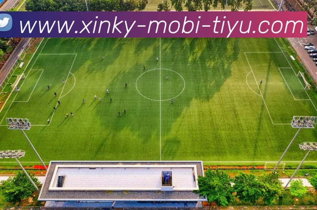 App Interface Preview