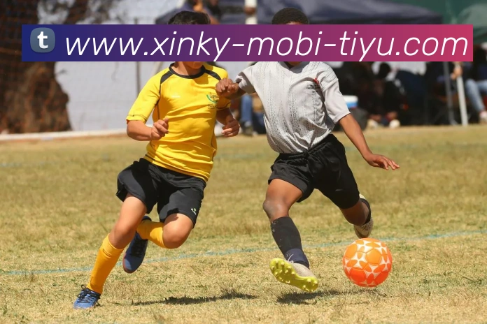 开元体育APP 封面图